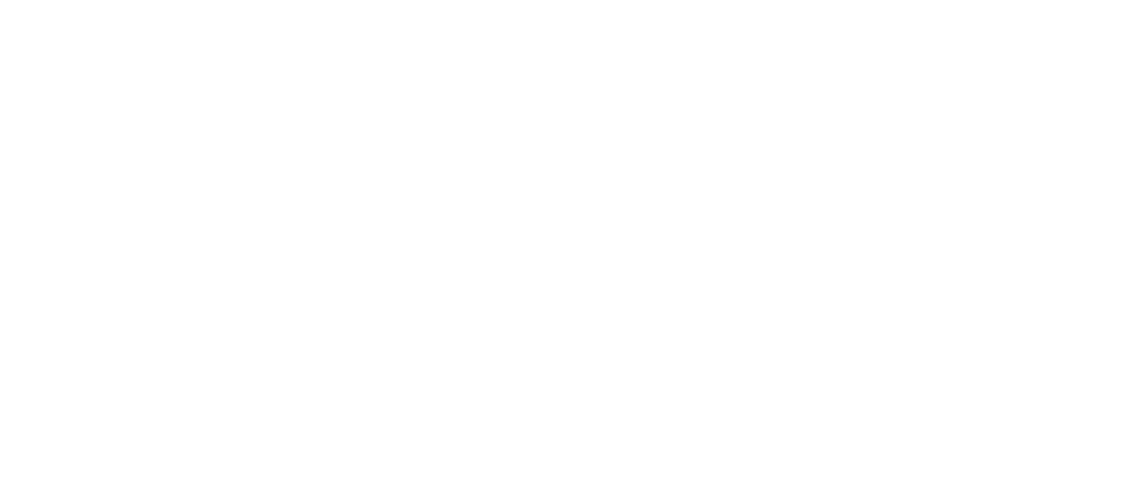 Logo DIVONA-AIRPORT blanc transparent